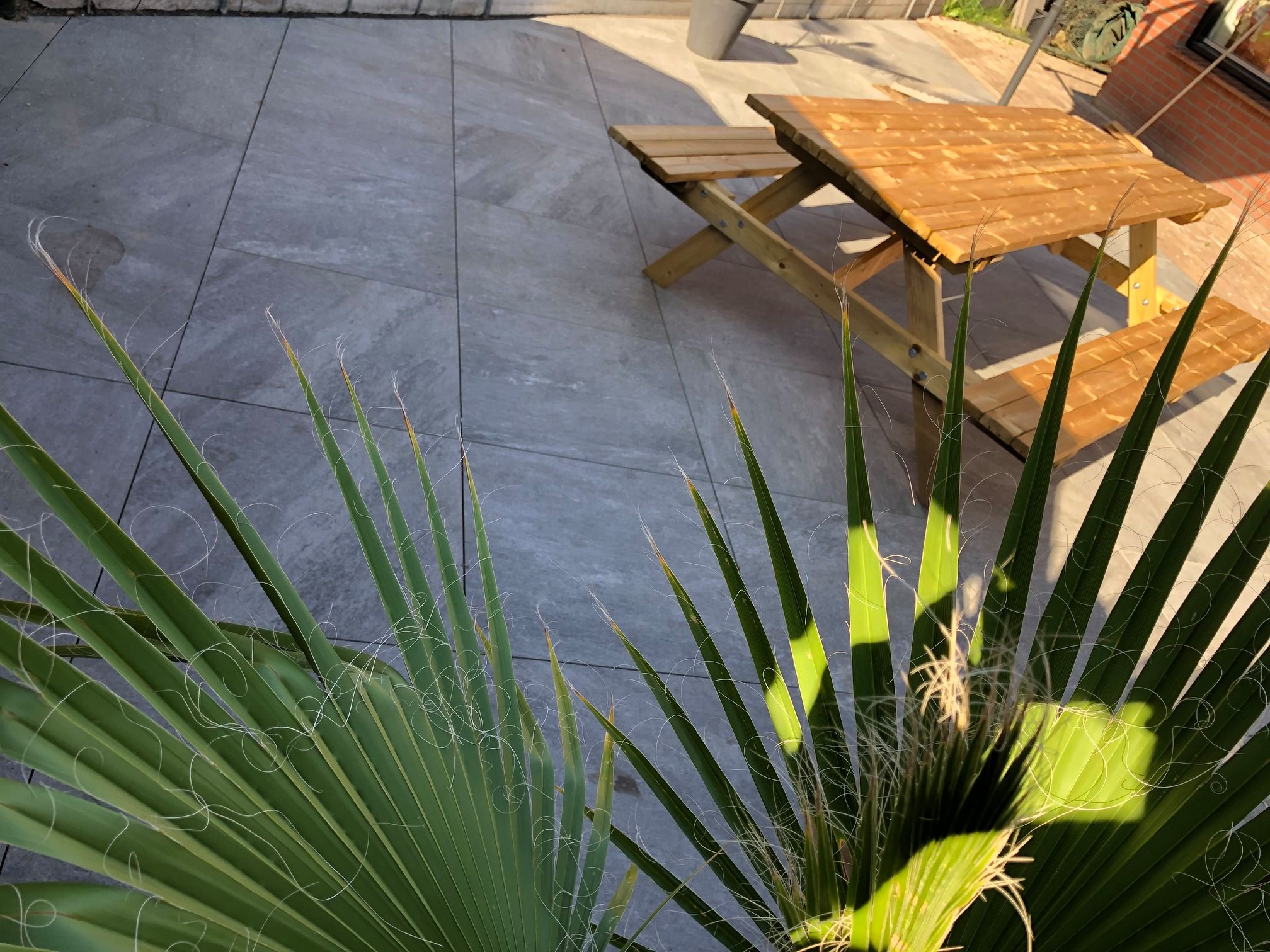 67521574_594254797647775_2396394307226435584_o